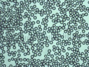 Dri-Cal 尺寸標準微粒