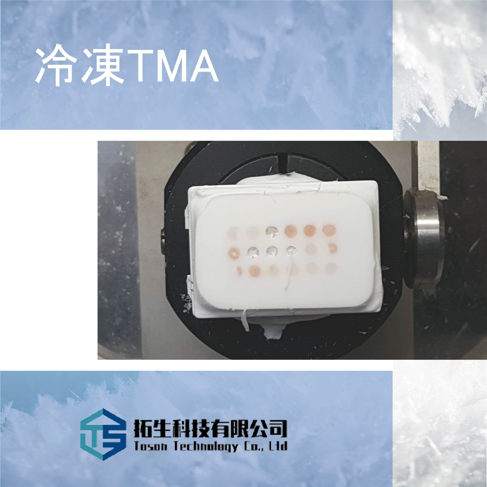 組織微陣列切片(TMA)