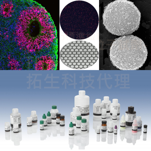 Thermo標準微粒子試劑 Thermo標準微粒子試劑