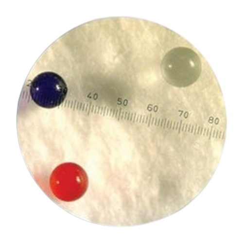 Thermo標準微粒子試劑 Thermo標準微粒子試劑