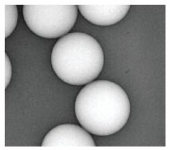 Count-Cal計數精密度質控標準微粒